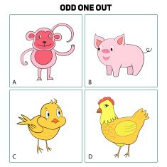 Odd one out child game vector illustration N3