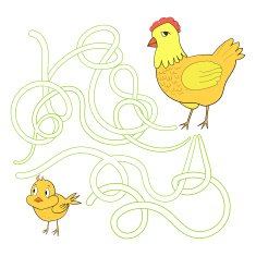 Labyrinth maze find a way chicken hen