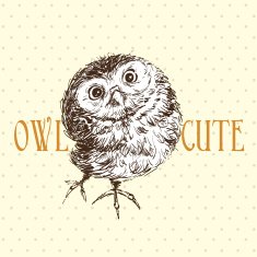 Cute owl standing and looking