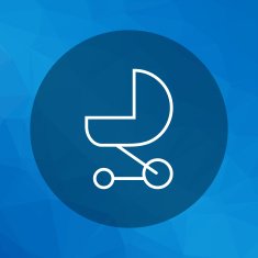 Baby Carriage N9
