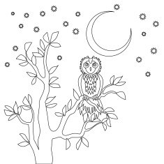 Cute vector owl N3