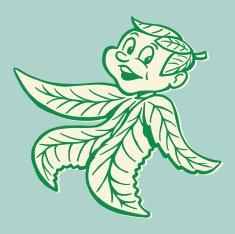 Leaf Boy
