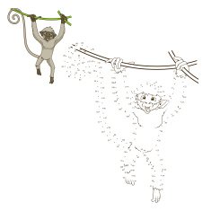 Draw the animal monkey educational game vector illustration