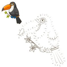 Draw the animal toucan educational game vector illustration