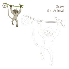 Draw the animal monkey educational game vector illustration N2
