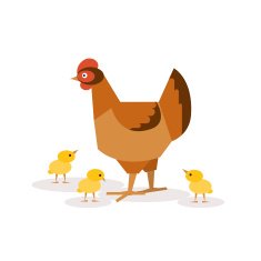 Chicken with chickens Vector illustrations