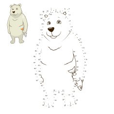 Learn to draw animal polar bear vector illustration N2