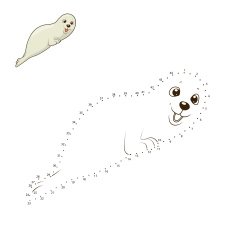 Learn to draw animal seal vector illustration N2