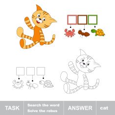 Orange cat Task and answer