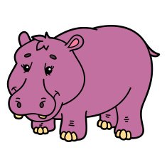 Cute hippopotamus