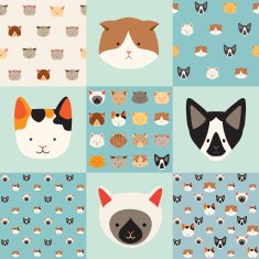 Cute cats vector pattern set illustrations on colored background