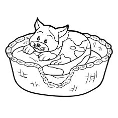 Coloring book for children (cat in a basket)