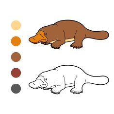 Coloring book for children platypus