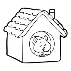 Coloring book for children hamster N4
