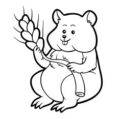 Coloring book for children hamster N6