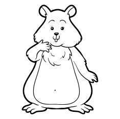 Coloring book for children hamster N8