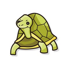 animal turtle doodle N2