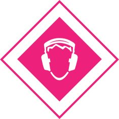Music Icon N5