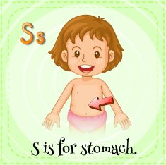 Stomach N3
