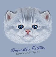 Vector Portrait of Domestic Kitten N2