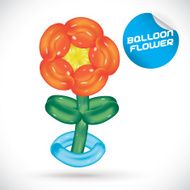 Balloon Flower