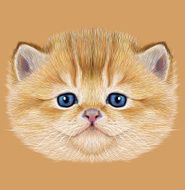 Illustrative Portrait of Domestic Kitten