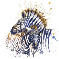 zebra illustration with splash watercolor textured background N2