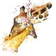 giraffe family illustration with splash watercolor textured background