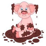 Cute pig in a puddle funny piggy sits laps and