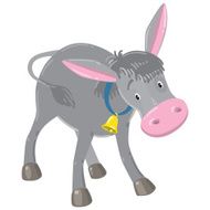 Funny gray donkey