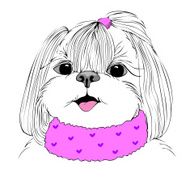 fashion portrait of doggy girl in pink