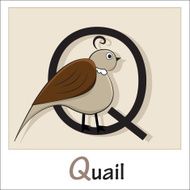 Alphabet-letter Q