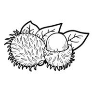 Coloring book game fruits and vegetables (rambutan)