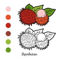 Coloring book game fruits and vegetables (rambutan) N2