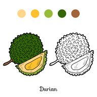 Coloring book game fruits and vegetables (durian) N2