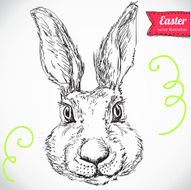 Hand Drawn Vector Portrait s and Tuxedo Party Look Easter