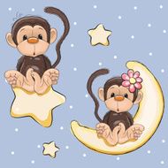 Lovers Monkeys