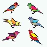Bird bird vector vector illustration N5