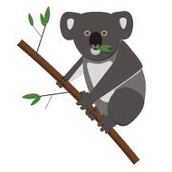Koala Bear N5