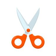 Scissors N6