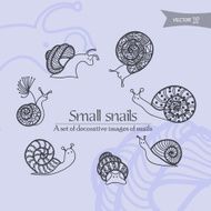 small snails