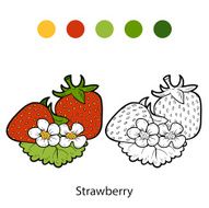 Coloring book fruits and vegetables (strawberry) N2