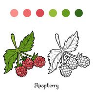 Coloring book fruits and vegetables (raspberry)