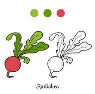 Coloring book fruits and vegetables (radishes)