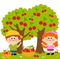 Kids harvesting cherries