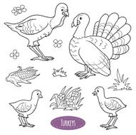 Set of cute farm animals and objects vector family turkeys