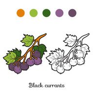 Coloring book fruits and vegetables (black currants)
