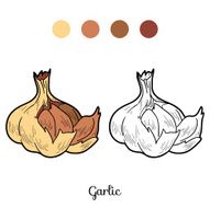 Coloring book fruits and vegetables (garlic)