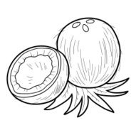 Coloring book fruits and vegetables (coconut)