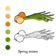 Coloring book fruits and vegetables (spring onions)